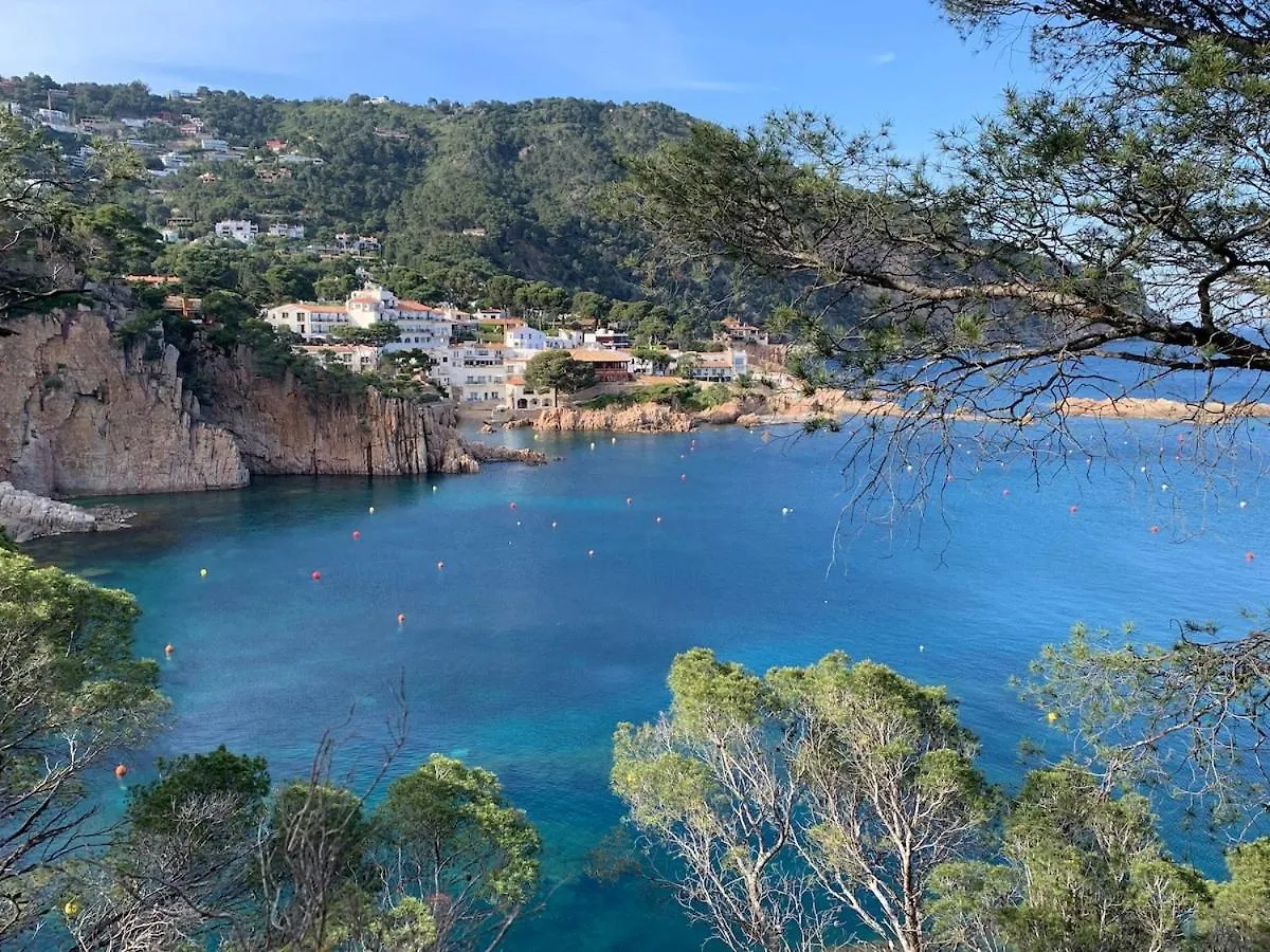 Beautiful Apartment With Pool Terrace Parking Begur Spain